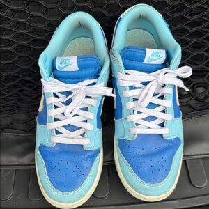 Nike Men’s Aqua and Blue Sneakers size 11